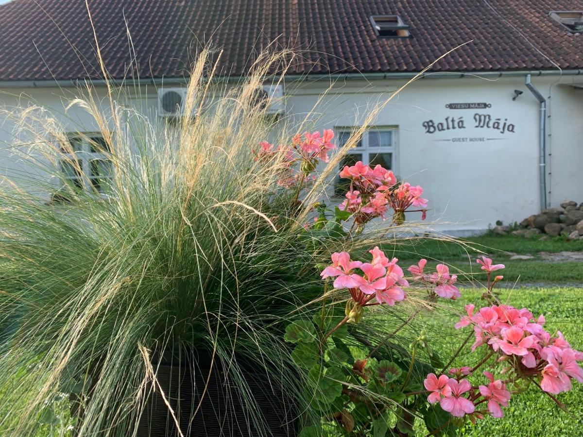 Balta Maja Hotel Pilsrundale Exterior photo